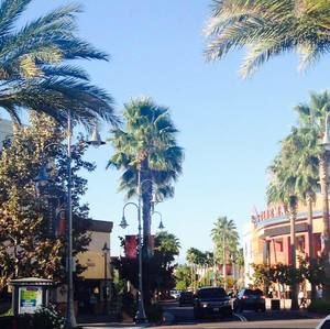 Meet your Posher, Safia